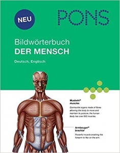 ???? ??????? ?????? ?????? ????? PONS Bildworterbuch Der Mensch ????