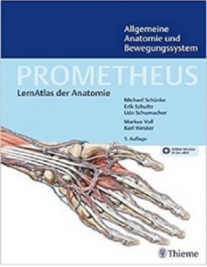???? PROMETHEUS Allgemeine Anatomie und Bewegungssystem LernAtlas der Anatomie